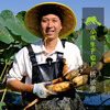 生态藕带（6月3日最后一次发货） | 合作生产* Eco-lotus sprout | Coproduction 商品缩略图2