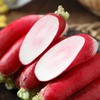放心手指萝卜250g 商品缩略图3