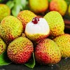 海南空运妃子笑荔枝（3斤礼盒装） 商品缩略图0