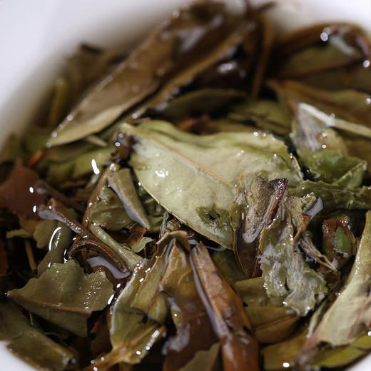 福鼎白茶 | 中雄御品2021年 松压饼 云过处200g/饼 商品图3