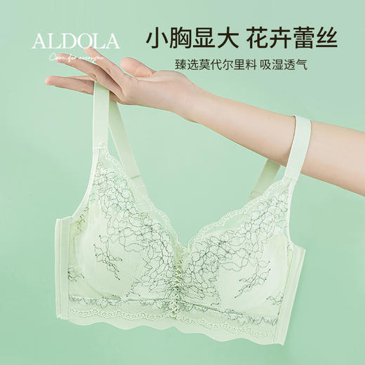 雅黛丽内衣女小胸聚拢显大莫代尔文胸无钢圈收副乳无痕美背女胸罩 商品图0