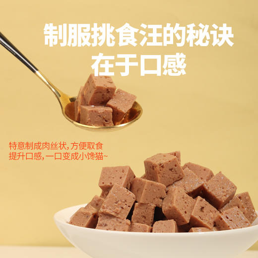 麦斯蒂狗狗零食犬罐头170g*12罐 整箱装 湿粮 营养伴粮 鸡肉、牛肉味 商品图2