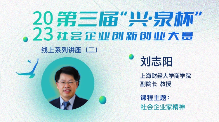 （三）社会企业家精神