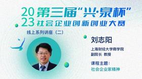 （三）社会企业家精神