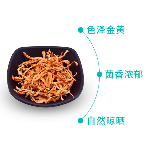 山臻U品虫草花220g 商品图2