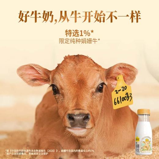 【冷藏月卡】冷藏月卡冷藏娟姗牛乳-月卡（4期）*40瓶 商品图2