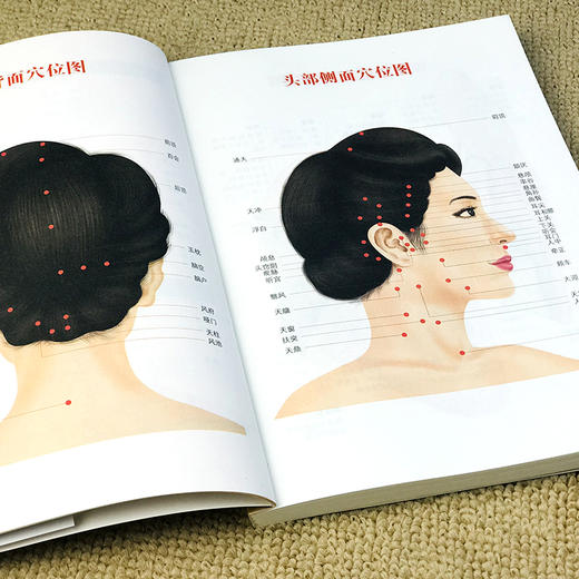 【推荐】正版速发  一学就会头耳按摩  经典彩图版调和气血通经络平衡阴阳免疫高零基础学理论养生祛病医学类健康调理中医养生书籍 商品图3