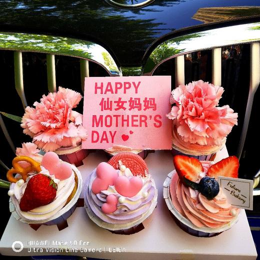 仙女妈妈（动物奶油6枚装） 商品图0