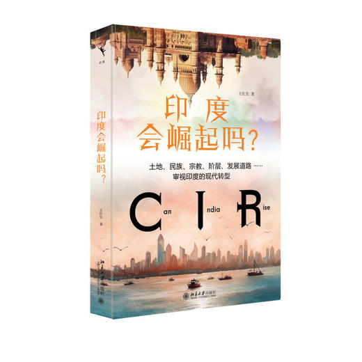 印度会崛起吗？ 王红生 北京大学出版社 商品图0