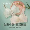 雅黛丽内衣女小胸聚拢美背2023新款文胸无钢圈夏季刺绣蕾丝女胸罩 商品缩略图0