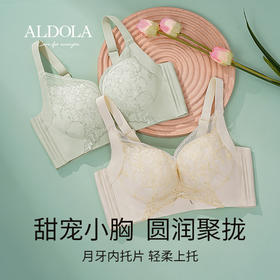 雅黛丽内衣女小胸聚拢美背2023新款文胸无钢圈夏季刺绣蕾丝女胸罩