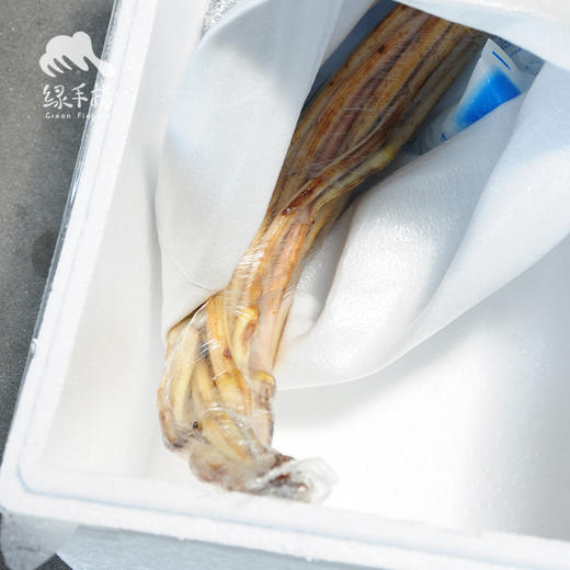 生态藕带（6月3日最后一次发货） | 合作生产* Eco-lotus sprout | Coproduction 商品图4