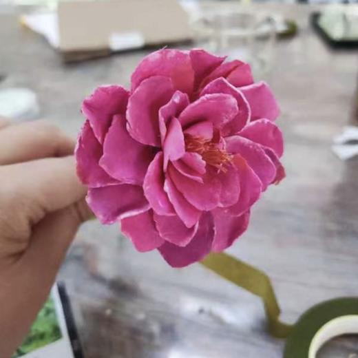 母亲节专场活动 | 农园活动 * Mother‘s Day | Farm activities 商品图5