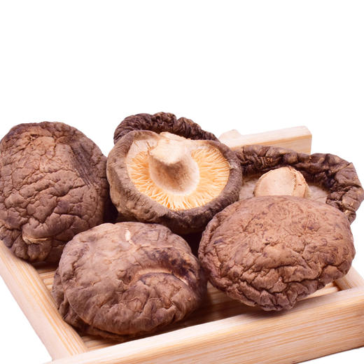 山臻U品金钱菇300g 商品图4