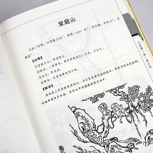 【推荐】【绸面精装】山海经 正版全集原著完整版 大16开绸面精装 烫金压凹工艺 精美插盒 全注全译白话文青少年版成人版国学书籍 商品图3
