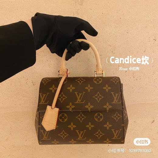 𝐂𝐋𝐔𝐍𝐘 𝐌𝐢𝐧𝐢原厂皮 商品图10