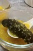 【无添加】正经的大连即食海参 大号   500克/袋（6头/8头自选） 冷冻保存 商品缩略图4