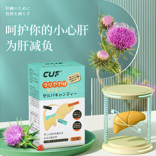 【日本原装进口】CUF水飞蓟双色压片  专注养肝护肝 清火排䓯 熬夜加班  应酬饮酒 办公室常备 商品图0