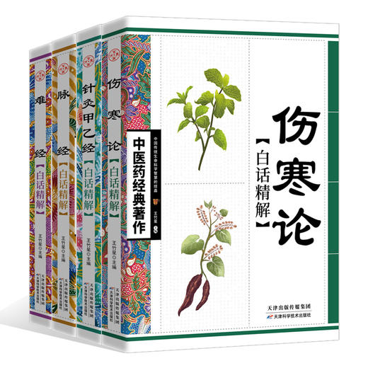 【推荐】中医药经典著作全套4册 脉经+难经+针灸甲乙经+伤寒论张仲景原著正版白话精解版 针灸入门中医书籍大全零基础中医基础理论 商品图0