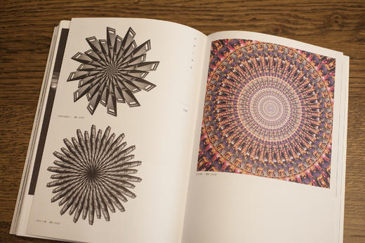 消逝与眷恋 澎湃出品 许海峰 吕正 主编 商品图9