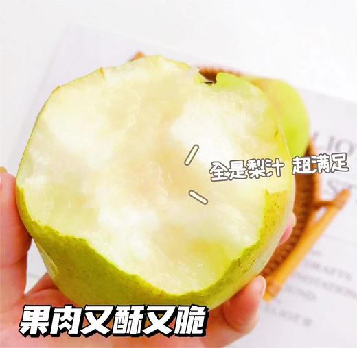 蜂蜜玉露香梨  |山西水果 商品图0