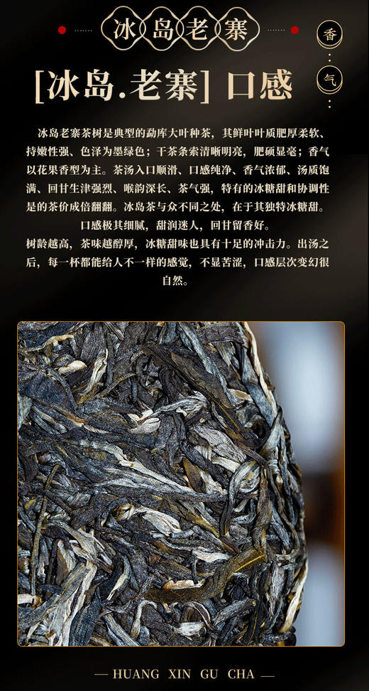 凰馨古茶2023年冰岛老寨357克生茶探春系列 古树普洱茶 商品图8