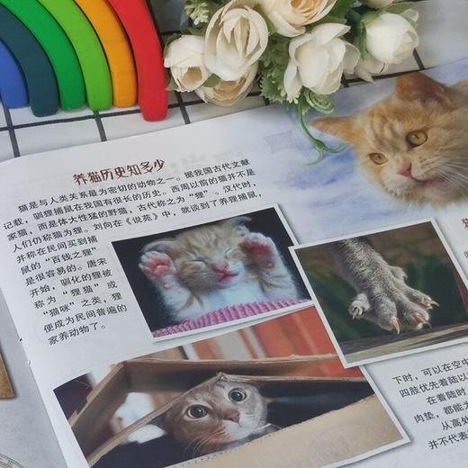 动物大世界 中国儿童画报（1年共12期）2026年5月起订 商品图5