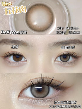 日抛 BOLLYCON 五花肉  14.0