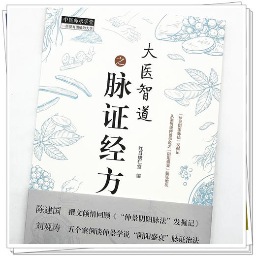 大医智道之脉证经方（中医师承学堂丛书）  红日康仁堂 著 中国中医药出版社  经方方剂学书籍 商品图4