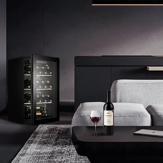 海尔（Haier）冰吧酒柜家用立式小型客厅办公室饮料茶叶酒水冷藏保鲜柜透明玻璃门 酒柜丨30瓶装量JC-93GHUD1 商品图5