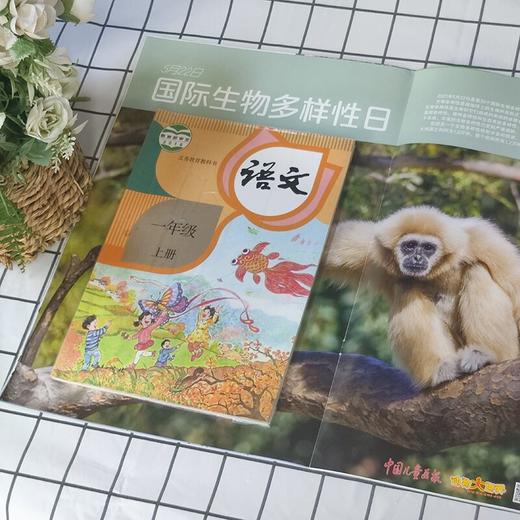 动物大世界 中国儿童画报（1年共12期）2026年5月起订 商品图3