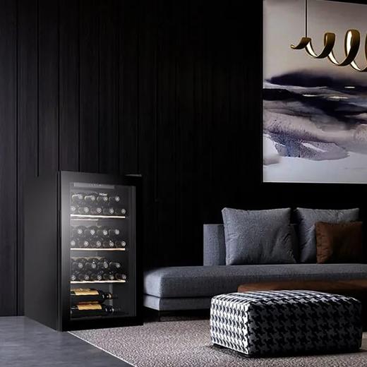 海尔（Haier）冰吧酒柜家用立式小型客厅办公室饮料茶叶酒水冷藏保鲜柜透明玻璃门 酒柜丨30瓶装量JC-93GHUD1 商品图1