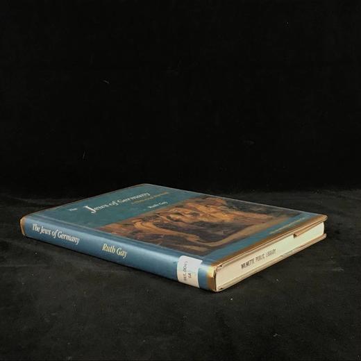 德国犹太人历史画像 约百幅插图 精装16开 商品图1