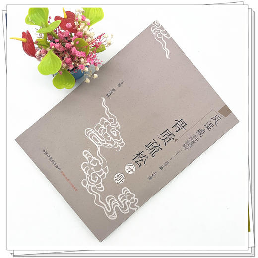 骨质疏松分册（风湿病中医临床诊疗丛书）高明利 王承德 总主编 中国中医药出版社 中医骨伤科科学书籍 商品图1