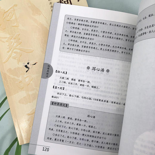 柯琴用经方 商品图7