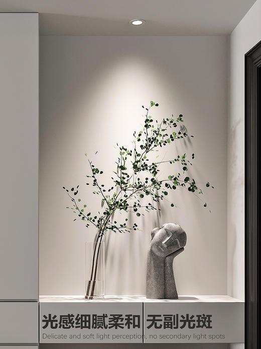 巴黎高端全光谱射灯｜嵌入式｜75mm开孔 商品图7