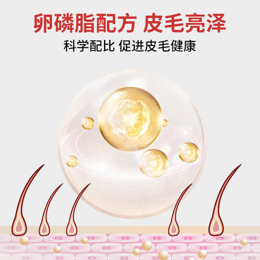 套餐【汪星人套餐】高钙片200片+狗狗羊奶粉200g+六种菌+犬用营养膏120g+肠胃宝5g*10袋 商品图8