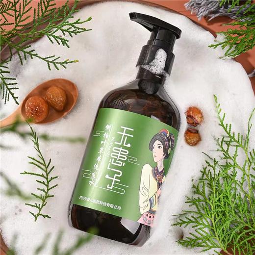 【羌族非遗天然皂素天然起泡温和清洁】无患子  18味草本洗发水, 商品图1