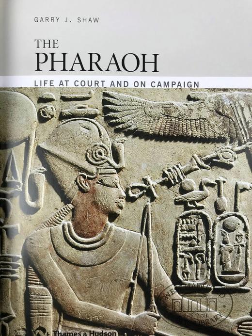 法老的宫廷与战争生活 234幅插图（172幅彩色） 精装16开 商品图3