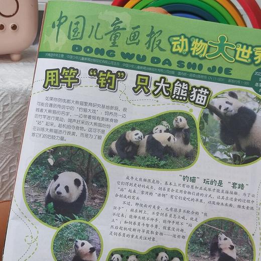 动物大世界 中国儿童画报（1年共12期）2026年5月起订 商品图6