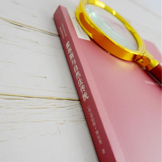 霍布斯与自然法传统 诺伯特·博比奥 著 哲学宗教 商品图1