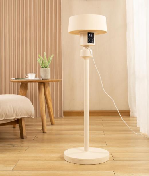 【团购展示】西佑 驱蚊香薰遥控立式循环扇F6W-奶咖 商品图0