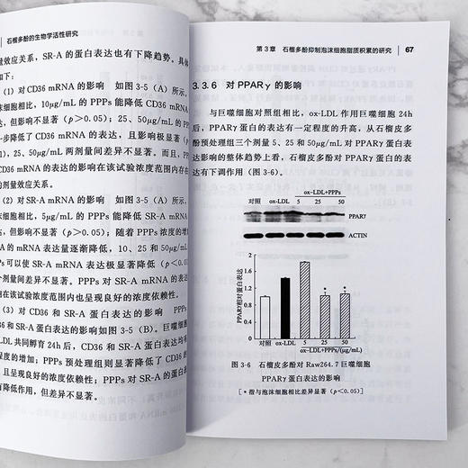 石榴多酚的生物学活性研究 商品图7