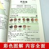 【推荐】彩色图解汤头歌诀 白话注释正版 中医养生疗养秘籍 中医配方历代名方验方 中医学入门书籍大全 中医基础理论古代经典民间偏方大全 商品缩略图3