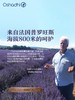 Oshadhi德国O家 薰衣草纯露 控油 花水爽肤水化妆水 商品缩略图2