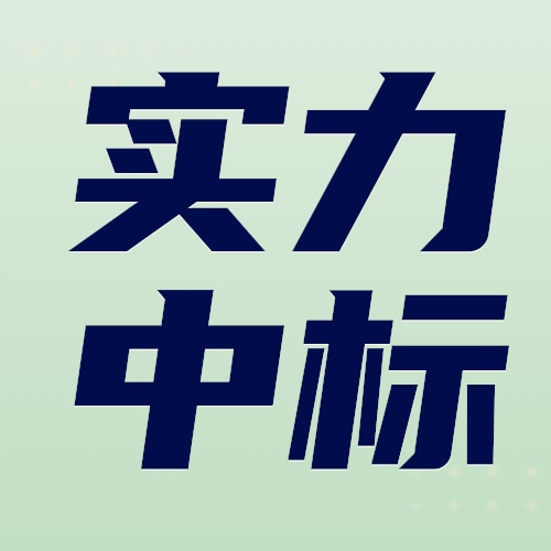 老旧小区/二手项目/回迁房实力中标精品方案（2023）-word-249页