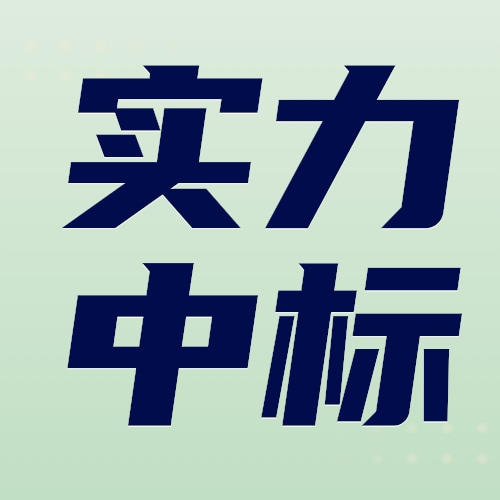 老旧小区/二手项目/回迁房实力中标精品方案（2023）-word-249页 商品图0