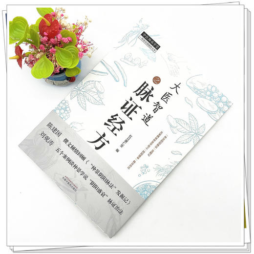 大医智道之脉证经方（中医师承学堂丛书）  红日康仁堂 著 中国中医药出版社  经方方剂学书籍 商品图2