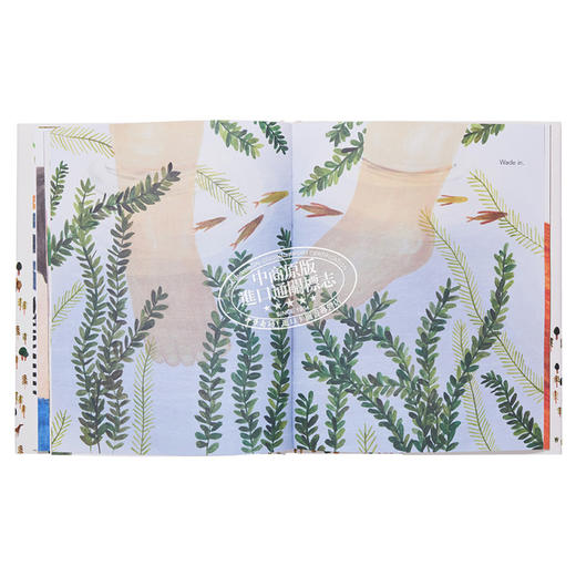 【中商原版】Maria Dek A Walk in the Forest 在森林里散步 精品绘本 低幼自然绘本睡前读物 精装 英文原版 3-6岁 商品图7