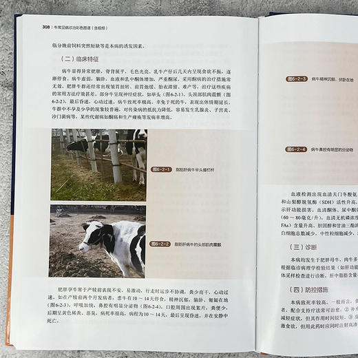 牛常见病诊治彩色图谱（含视频） 商品图8